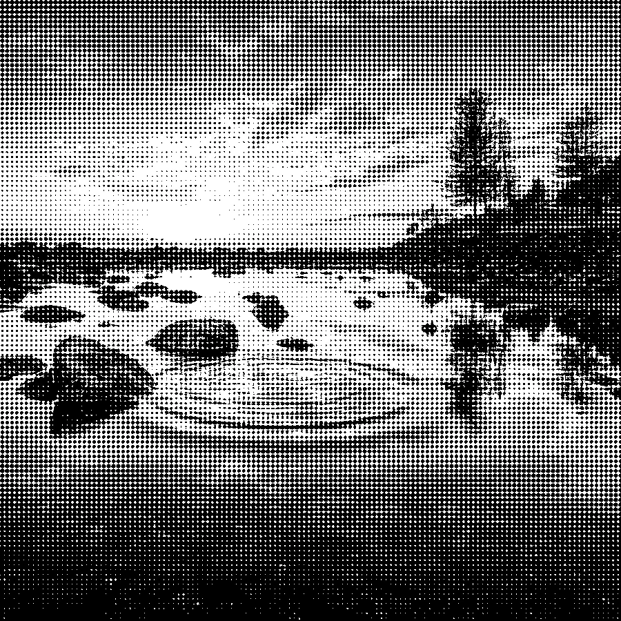Classic Halftone Portrait - After